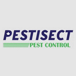 Pest Control Services in Brampton