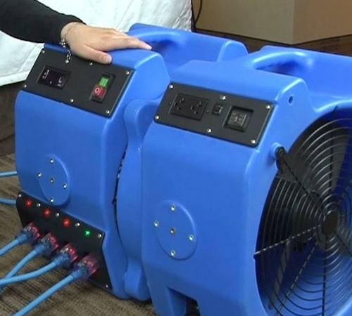 Bed Bug Treatment at a Low Cost