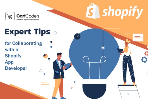 Expert Tips for Collaborating with a Shopify App Developer