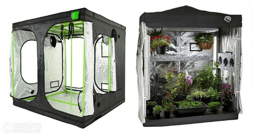 Discover the Joy of Gardening with a Hydroponic Grow Tent: What to Know?