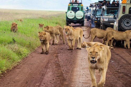 Top places to visit in Africa on a self drive