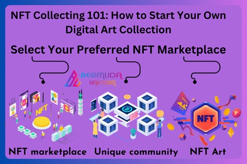 NFT Collecting 101: How to Start Your Own Digital Art Collection
