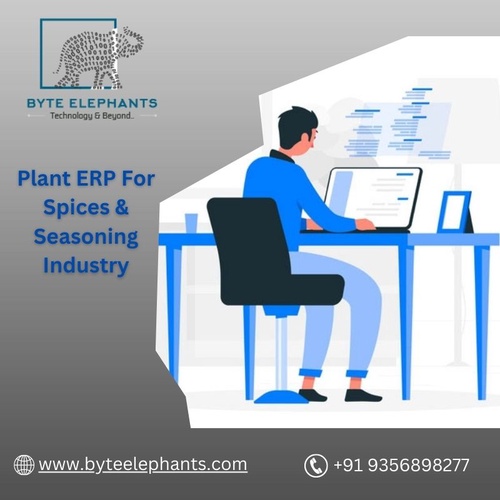 Spice of Efficiency: ERP Solutions for Seasoning Industry