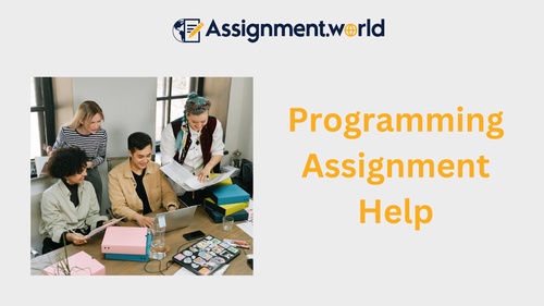 What are the best websites for getting online programming assignment help?