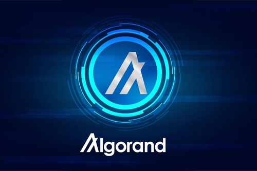 Algorand Node Deployment Services: Simplifying Blockchain Participation