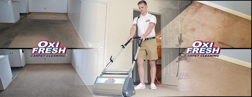 Professional Carpet Cleaning in Bellingham