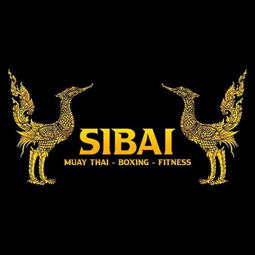 Best Muay Thai Gym in Miami: Unleash Your Potential