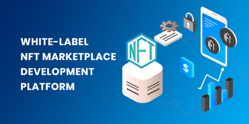Customized NFT Solutions: The Impact of White Label NFT Marketplace Development