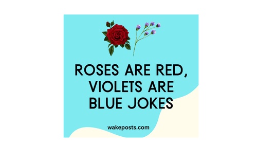 How to write roses are red violets are blue dirty poems?