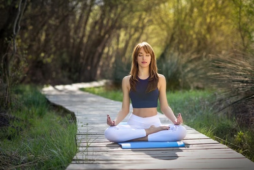 Mindfulness in Motion: How Hakomi Therapy Can Transform Your Life