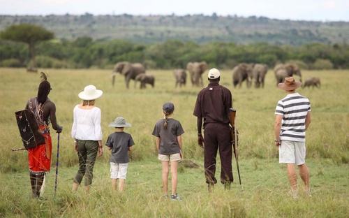 The Ultimate Guide to Planning Your Dream Kenya Safari Holiday