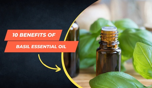 10 Benefits of Basil Essential Oil