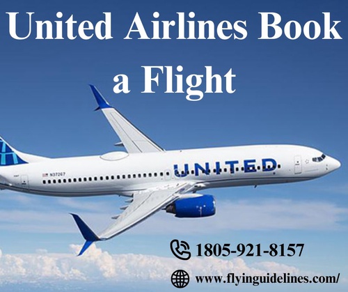 United Airlines Book a Flight What You Need to Know