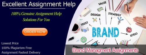 Brand management assignment help from experts