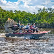 Exploring the Wild Side: Florida Airboat Tours