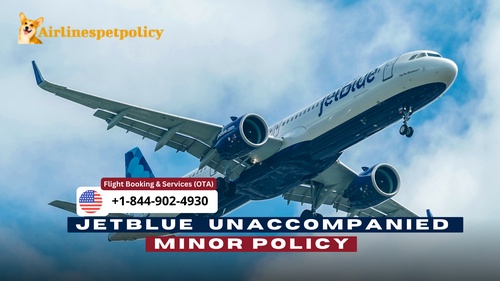JetBlue Unaccompanied Minor Policy -  A Comprehensive Guide