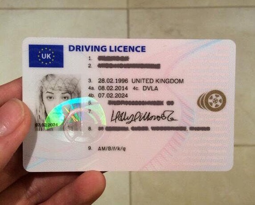 What are the Risks Associated with Fake Licenses