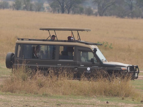 Make Your Safari Dreams Come True With The Help Of Tanzania Safari Tours