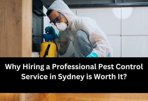 Why Hiring a Professional Pest Control Service in Sydney is Worth It?
