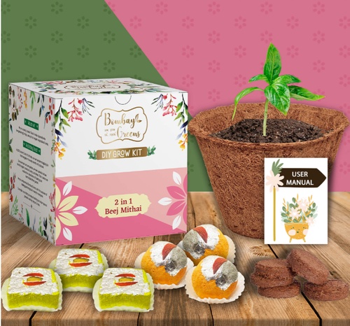 Green and Eco-Friendly Diwali Gift Hampers for a Sustainable Celebration