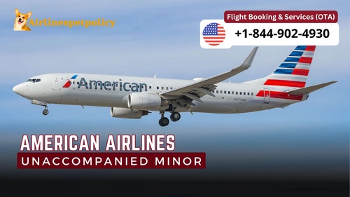 What is American Airlines policy for unaccompanied minors?