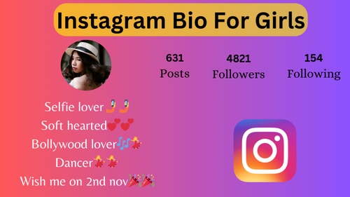 100+ Instagram Bio For Girls