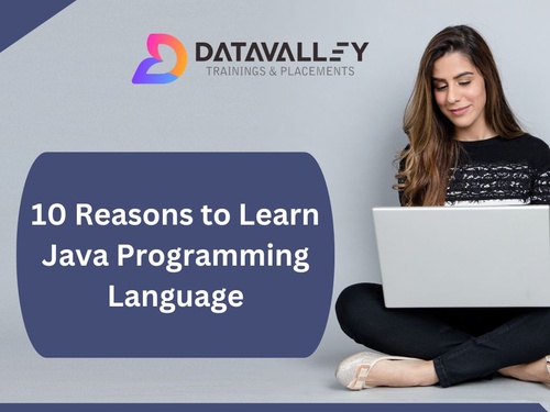 10 Reasons to Learn Java Programming Language