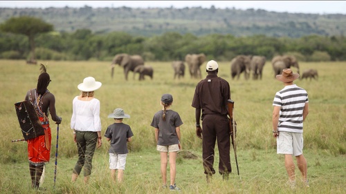 Embark on a Remarkable Journey: Luxury Safari in Kenya