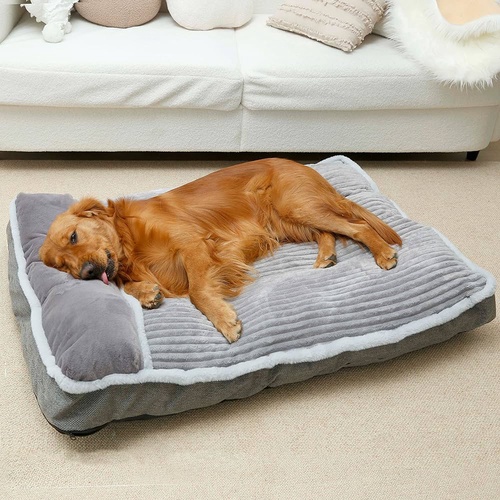 Here's Why Your Dog Deserves the Luxury of a Bed with Pillow Insert