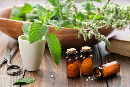 Navigating Your Path to Wellness: Finding a Homeopathy Clinic Near You