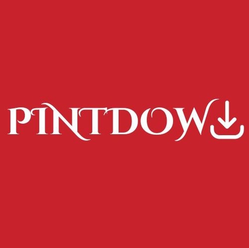 Benefits of using this Pinterest story downloader