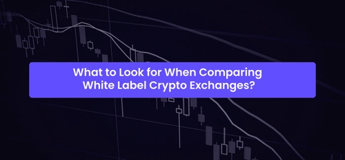 What to Look for When Comparing White-label Crypto Exchanges?