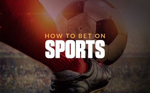 "Navigating the World of Online Sports Betting: Finding Your Ideal Platform"