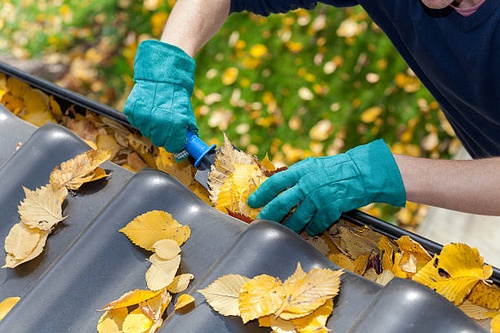 How to Choose the Best Gutter Cleaning Service in Bellingham, WA
