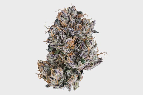 Buy Grand Daddy Purple Online: A Classic Cannabis Experience