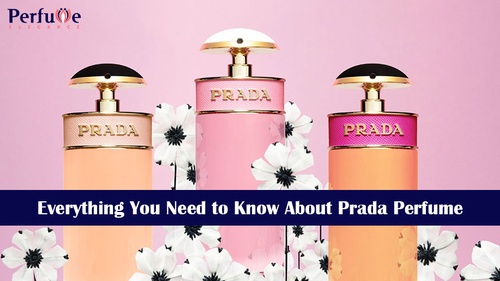 Everything You Need to Know About Prada Perfume