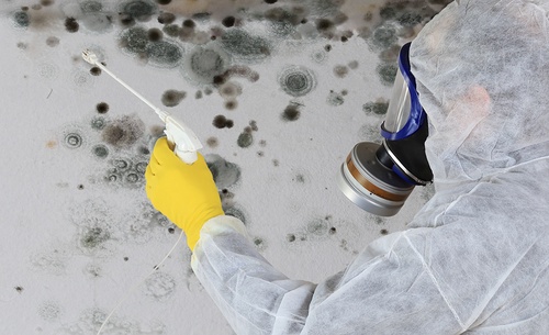 Mold and Mildew: The Hidden Dangers of Basement Leaks in Toronto