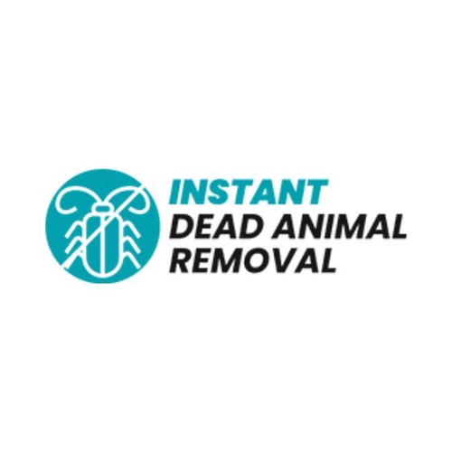 Dead Animal Removal: Understanding the Importance of Professional Services