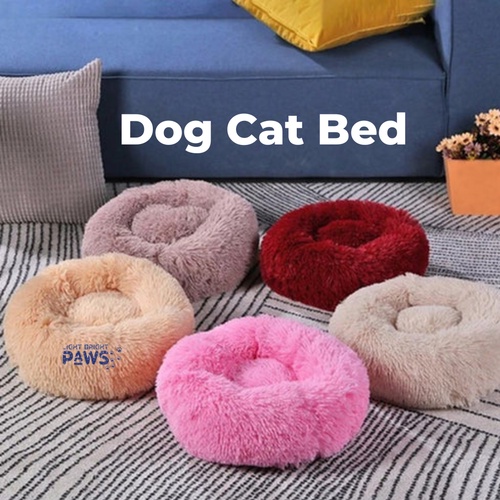 Cat Beds For Your Kitty to Curl Up for a Cozy Nap