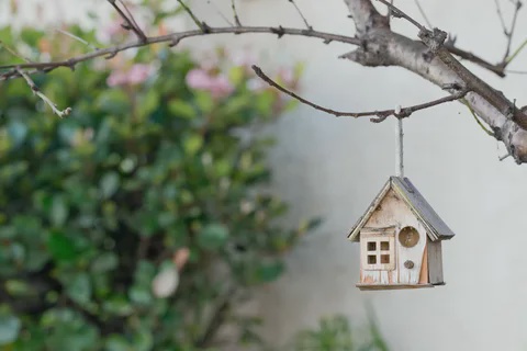 Unlocking Your Dream Home with Home Loans Crows Nest