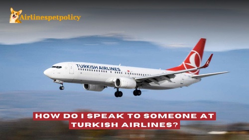 How do I talk to someone at Turkish Airlines?