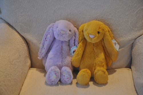 Unveiling the Enchanting World of Jellycat: A Cuddly Adventure