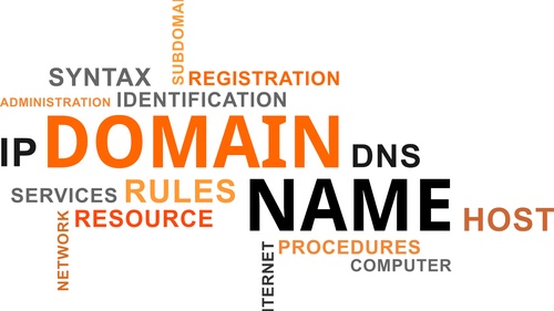 Understanding the Benefits of Choosing a .in Domain for Your Website