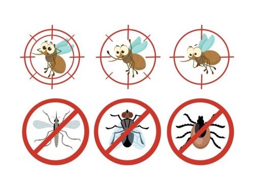 Safeguarding Your Property: The Importance of Termite Pest Control in Singapore