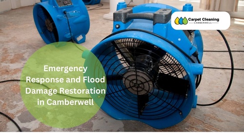 Emergency Response and Flood Damage Restoration in Camberwell
