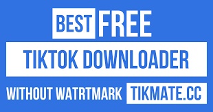 Why Should You Use a TikTok Video Downloader?
