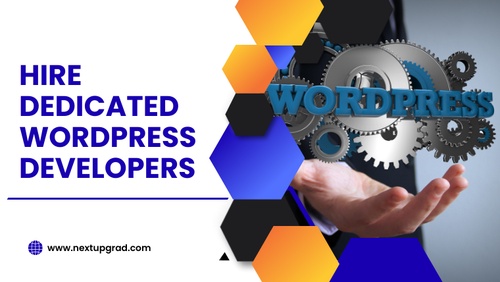 Hire WordPress Developer for Your Business Success
