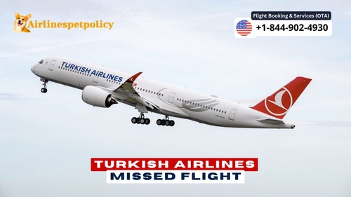Turkish Airlines Missed Flight | Policy, Rebooking & Fee