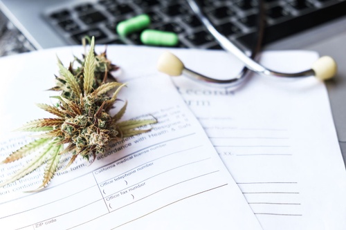 10 Tips for Choosing the Right Medical Marijuana Program