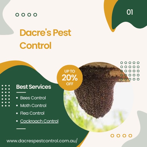 Specialist Bees and Wasps Removal Services in Wamuran